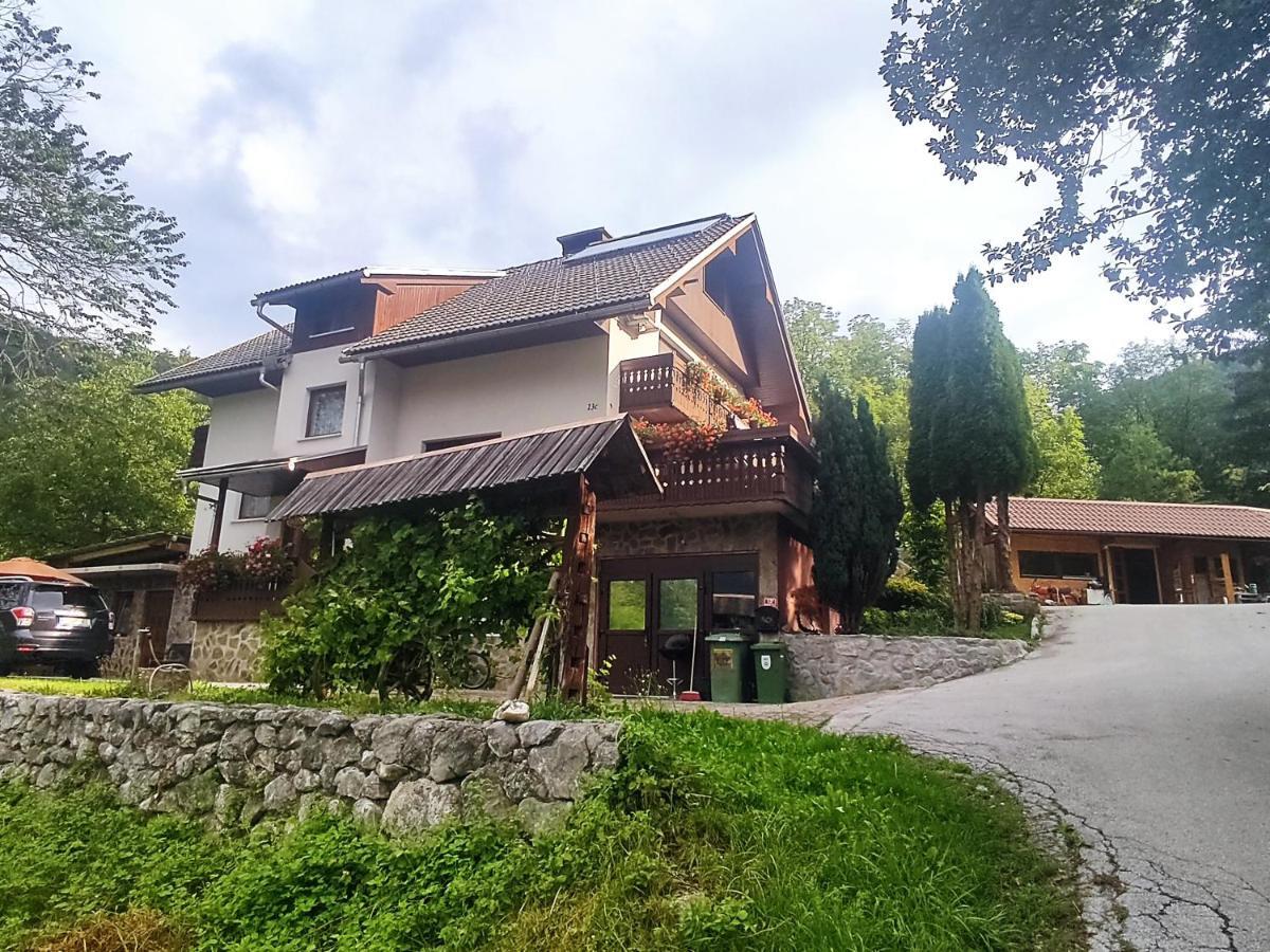 Fantastic Apartment Brglez ゴレンスカ地方 エクステリア 写真